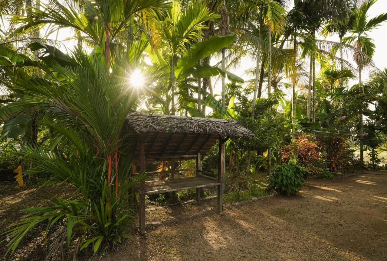 Cocozone Stays Alappuzha Экстерьер фото